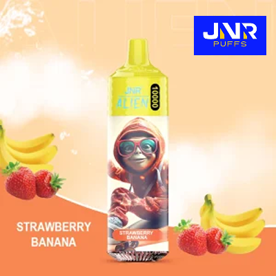 JNR - Rechargeable Puff (10K  100K) et E liquide JNR