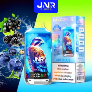 JNR Falcon X 18000 - Mr.Blue